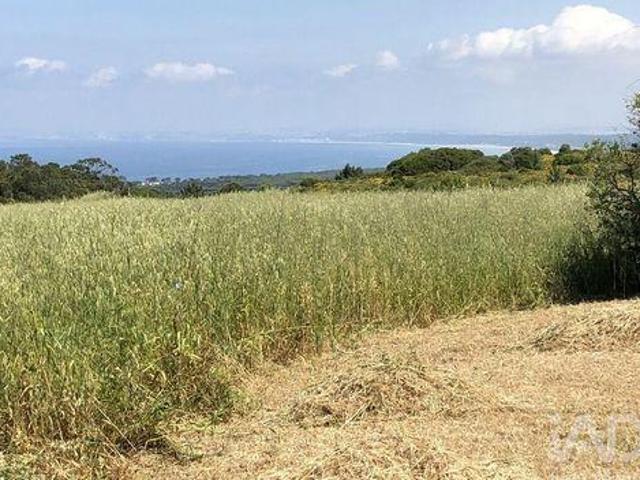 Terrenos Sesimbra Setubal DS98686149