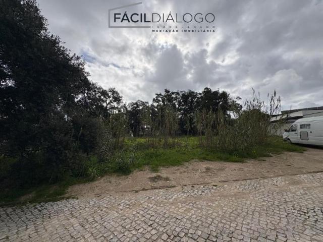 Terrenos Setúbal Sesimbra 2970 DS99460919