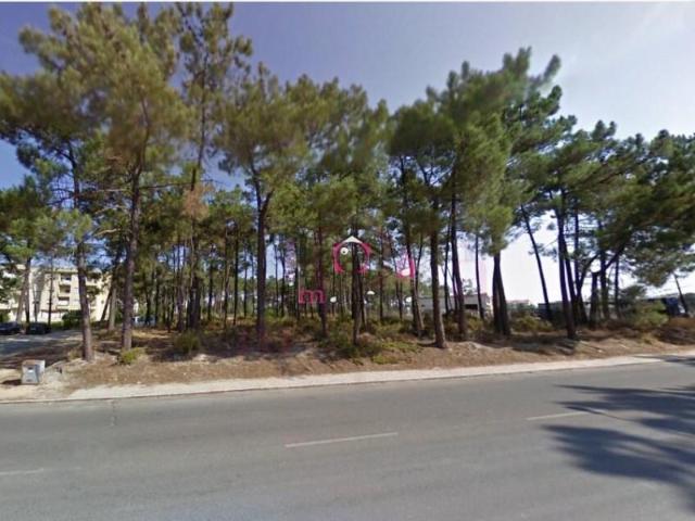 Terrenos Setúbal Setúbal DS102291508