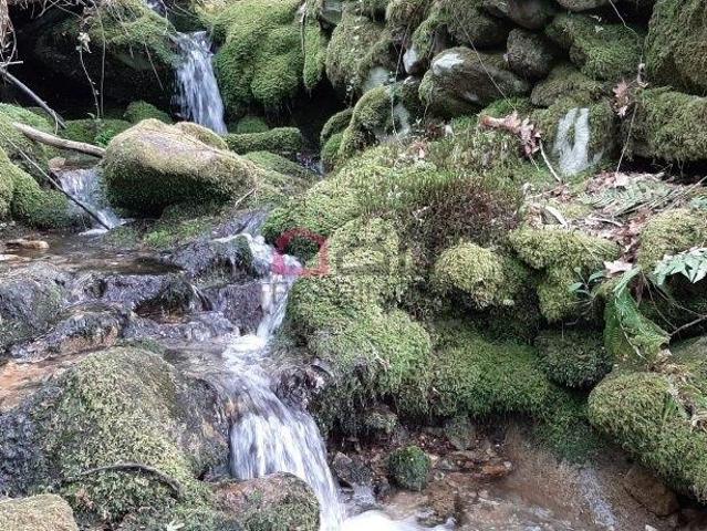 Terrenos ? Sever do Vouga | 26083342752