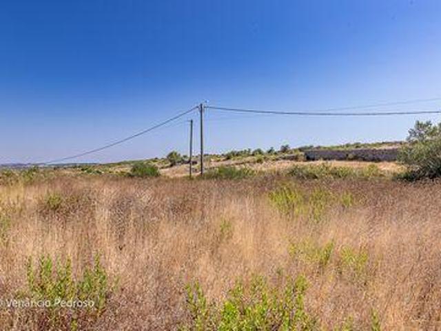 Terrenos Sintra Lisboa DS93265466