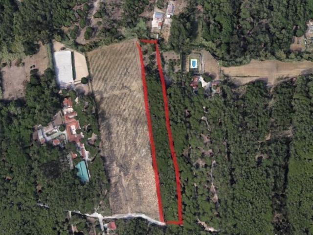 Terrenos Sintra Lisboa DS98522638