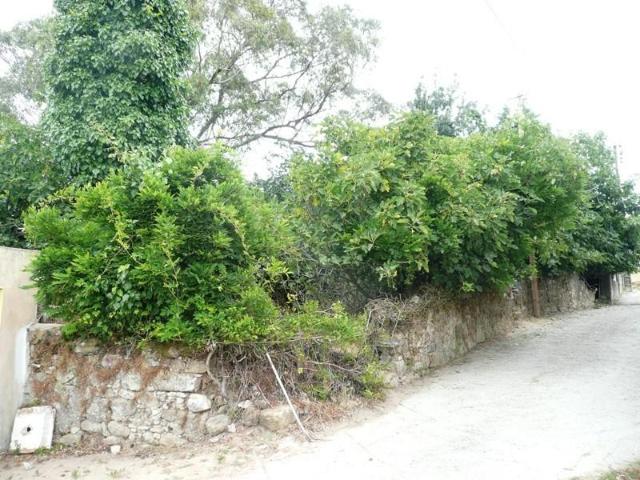 Terrenos Sintra Sintra DLS101798443