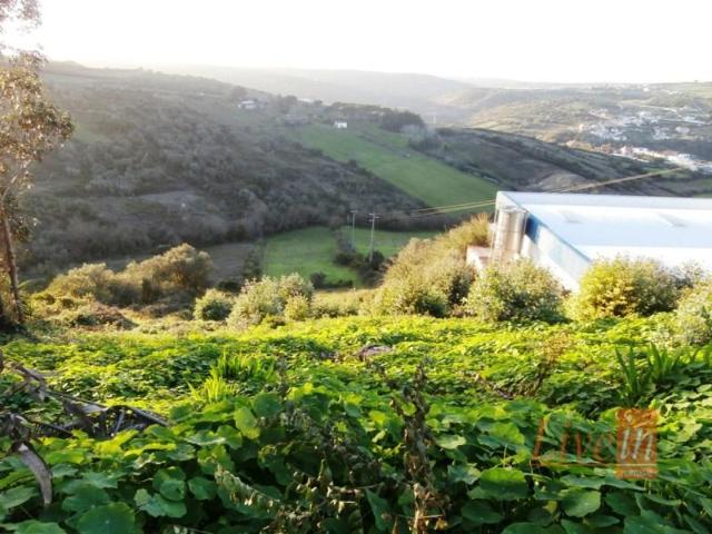 Terrenos Sintra Sintra DLS102497651