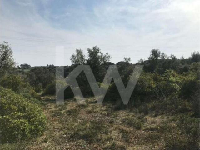 Terrenos Sintra Sintra DLS102676900