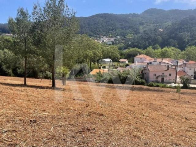 Terrenos Sintra Sintra DLS102676913