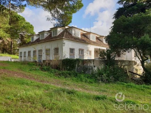 Terrenos Sintra Sintra DLS102714265