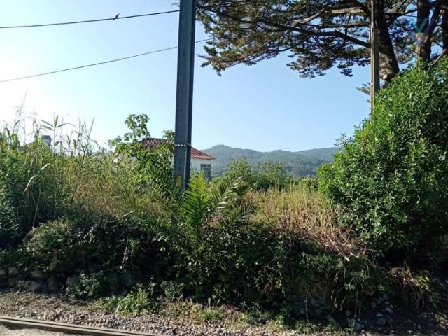 Terrenos Sintra Sintra DLS97122387