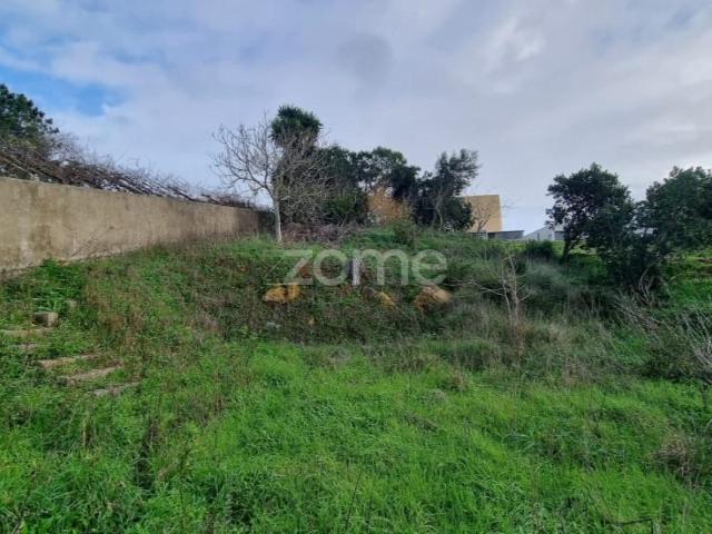 Terrenos Sintra Sintra DS87076015