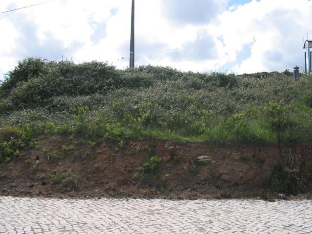 Terrenos Sintra Sintra DS87397188