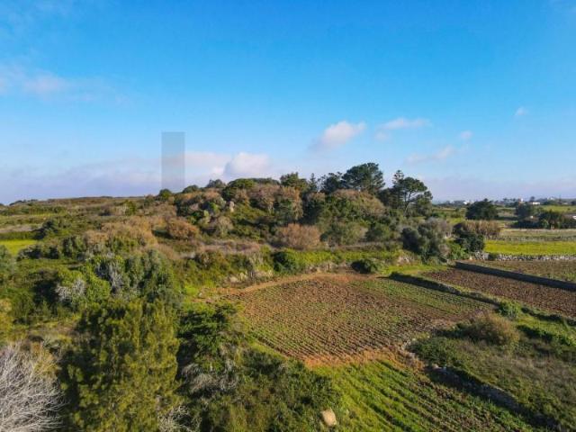 Terrenos Sintra Sintra DS89936549