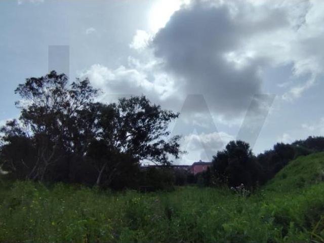 Terrenos Sintra Sintra DS95346942