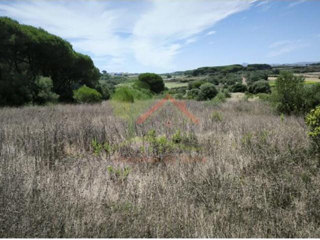 Terrenos Sintra Sintra DS97427450