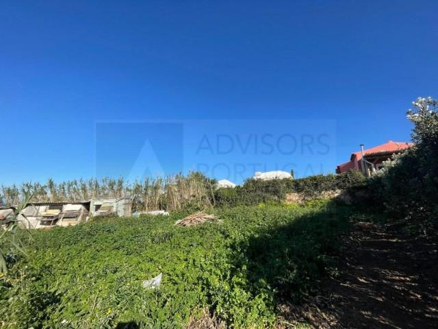 Terrenos Sintra Sintra DS97118368