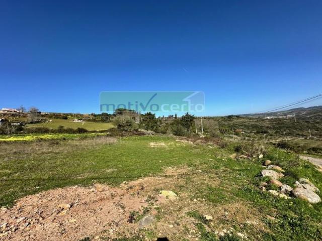Terrenos Sintra Sintra DS98757459