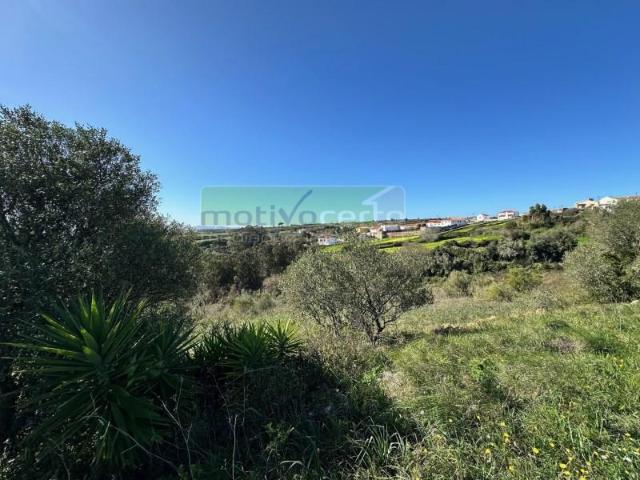 Terrenos Sintra Sintra DS98757461