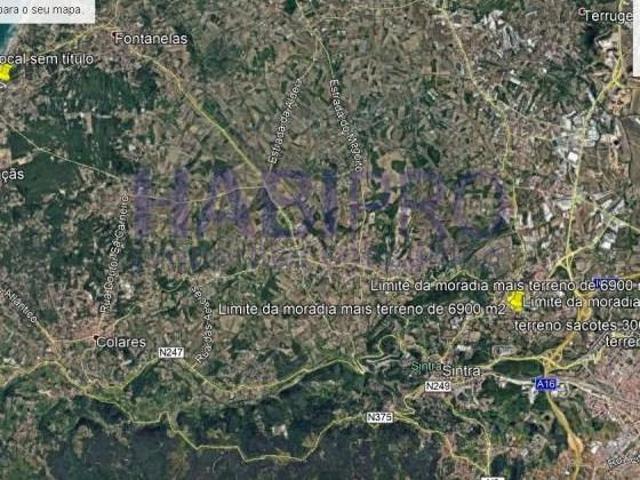 Terrenos Sintra Sintra DS98334668