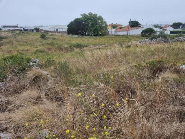 Terrenos Sintra Sintra DS99344234
