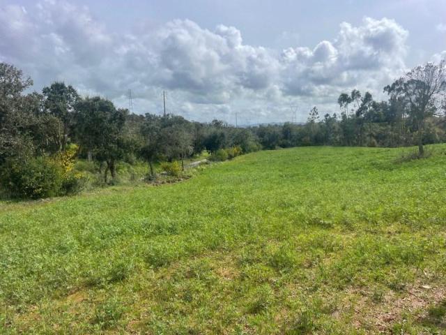 Terrenos Sines Sines DLS88679672