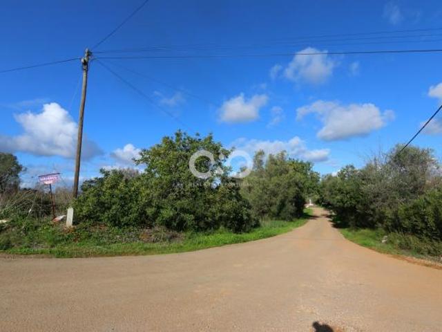 Terrenos Silves Algarve DLS42717214