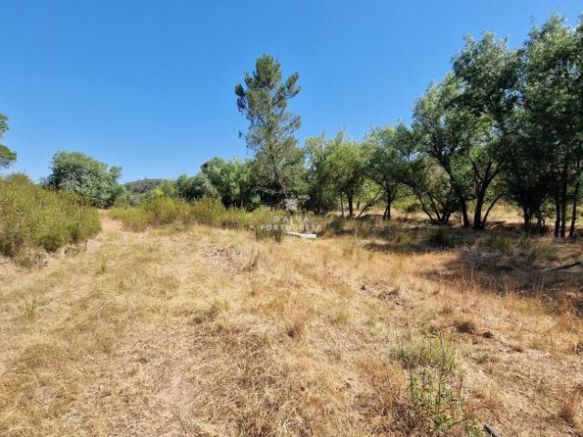 Terrenos Silves Algarve DLS78853342