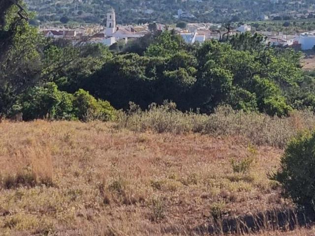 Terrenos Silves Algarve DLS78903390
