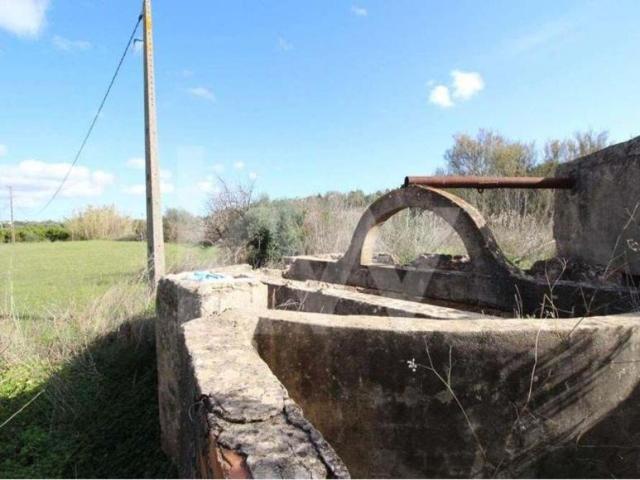Terrenos Silves Algarve DLS79782661