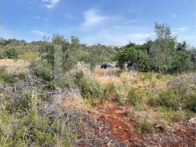 Terrenos Silves Algarve DLS79782692