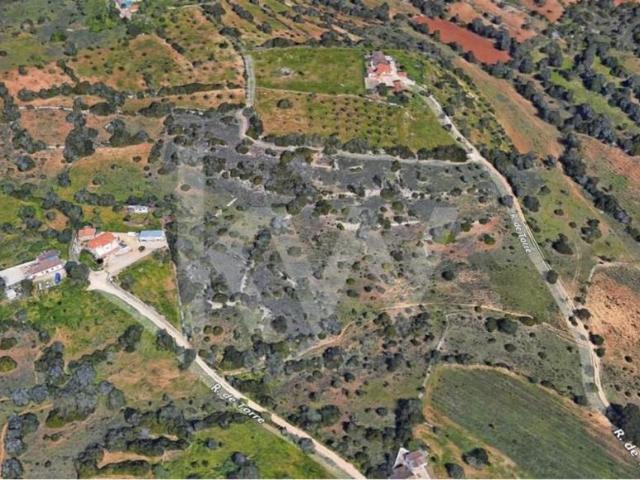 Terrenos Silves Algarve DLS79782718