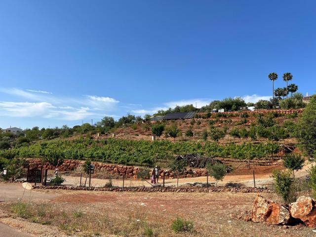 Terrenos Silves Algarve DLS85276498