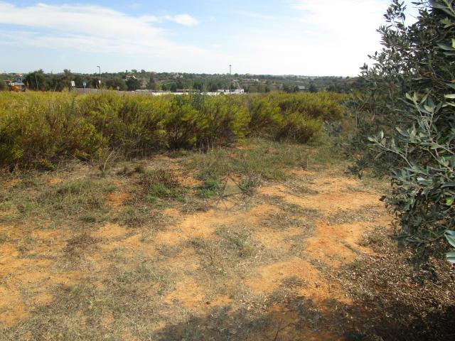 Terrenos Silves Algarve DLS85572243