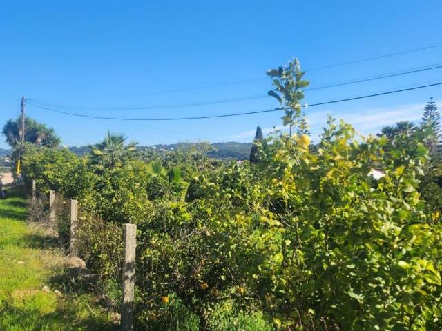 Terrenos Silves Algarve DLS85854430