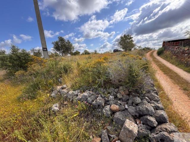Terrenos Silves Algarve DLS91156840