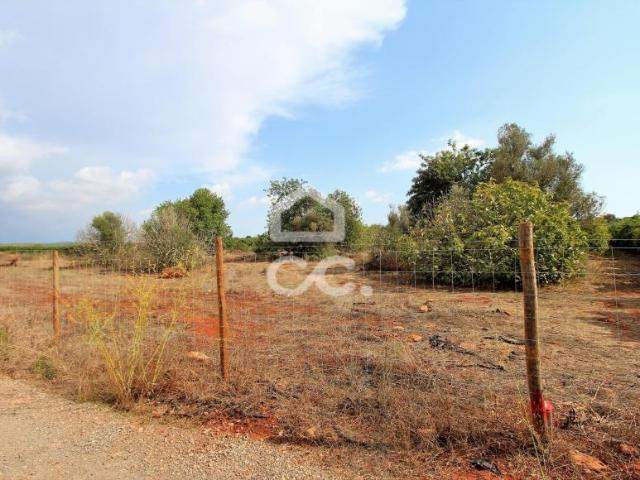 Terrenos Silves Algarve DLS96280685