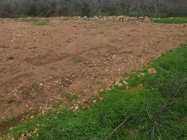 Terrenos Silves Algarve DLS98190283