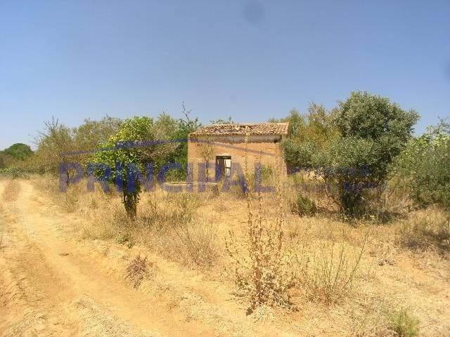 Terrenos Silves Algarve DLS99722834