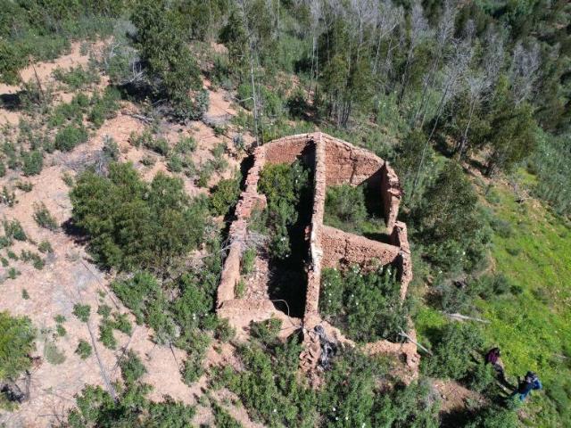 Terrenos Silves Algarve DLS99723094