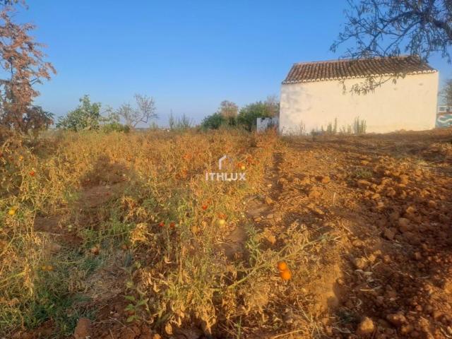 Terrenos Silves Algarve DLS99723727