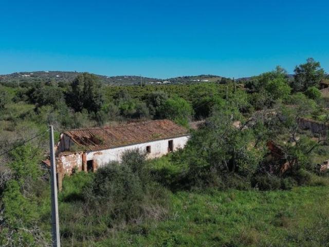 Terrenos Silves Algarve DLS100208777