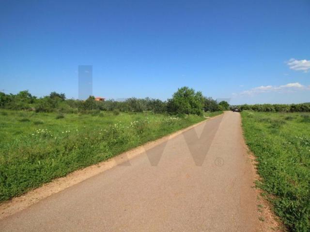 Terrenos Silves Algarve DLS101460463