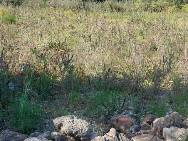 Terrenos Silves Algarve DLS101746158