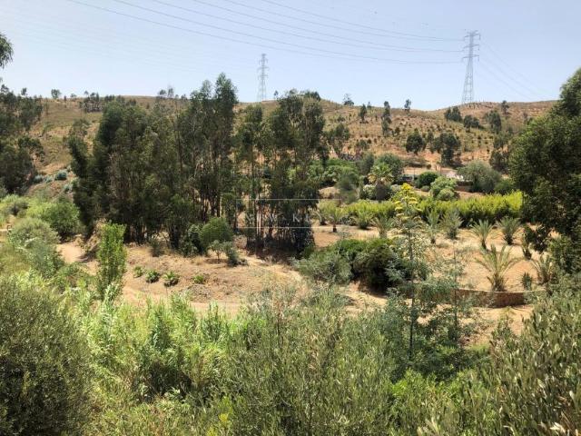 Terrenos Silves Algarve DLS102640596