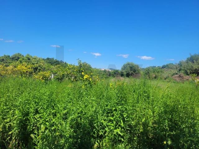 Terrenos Silves Algarve DLS102206268