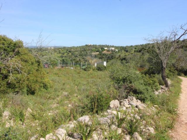 Terrenos Silves Algarve DS103032318