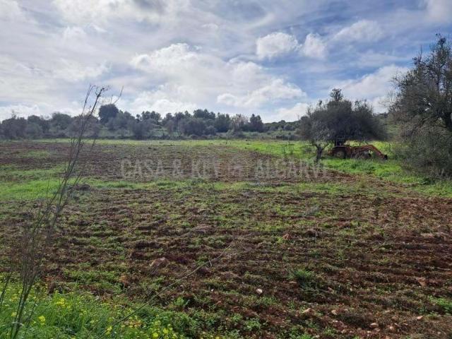 Terrenos Silves Algarve DS86008230