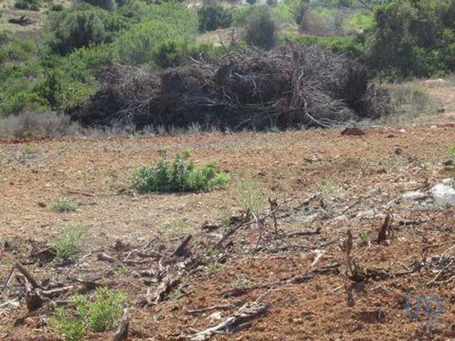 Terrenos Silves Faro DLS92228803