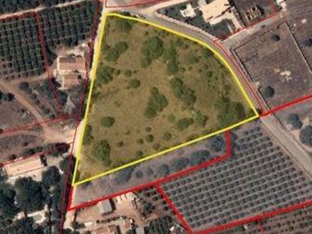 Terrenos Silves Faro DLS93001904