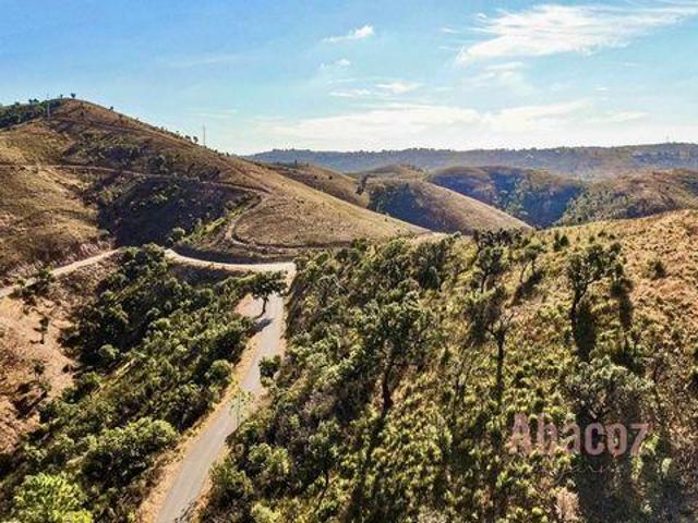 Terrenos Silves Faro DLS96324505