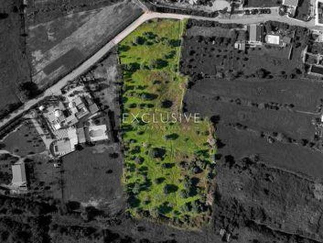 Terrenos Silves Faro DLS96330733
