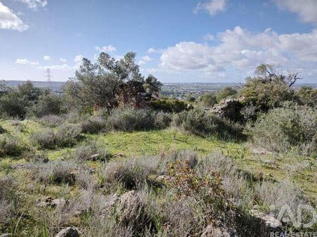 Terrenos Silves Faro DLS98378276